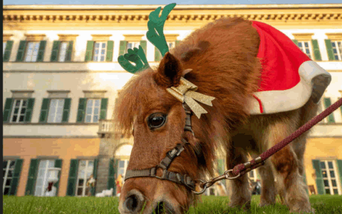 Appuntamenti nel fine settimana: Natale in Toscana