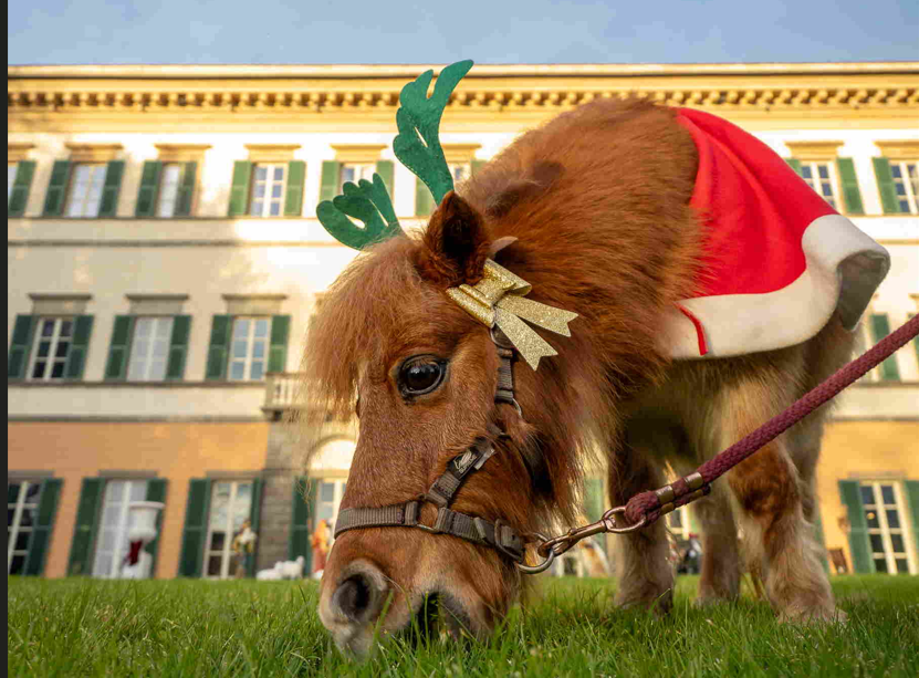 Appuntamenti nel fine settimana: Natale in Toscana