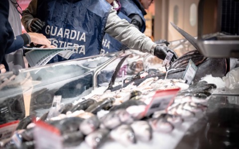 Sanzionato un importatore per prodotti ittici non conformi in Lucchesia