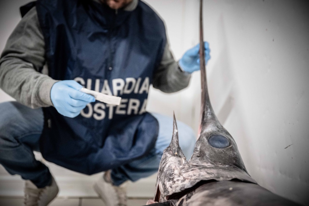 Sequestrati 30 kg di pesce non conforme durante i controlli di Capodanno