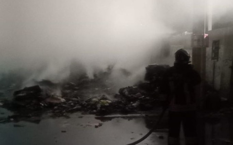 Incendio in un’azienda di raccolta rifiuti a Viareggio, intervento tempestivo dei Vigili del Fuoco